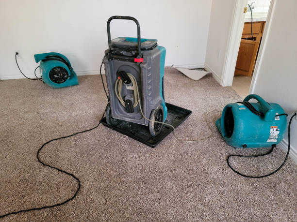 Best Emergency water extraction  in Glenwood City, WI