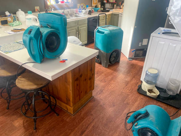 Best Flooded house restoration  in Glenwood City, WI