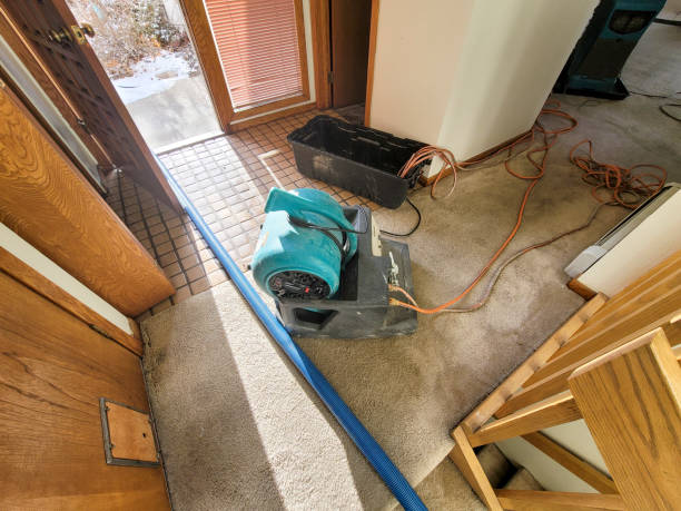 Best Professional water damage repair  in Glenwood City, WI