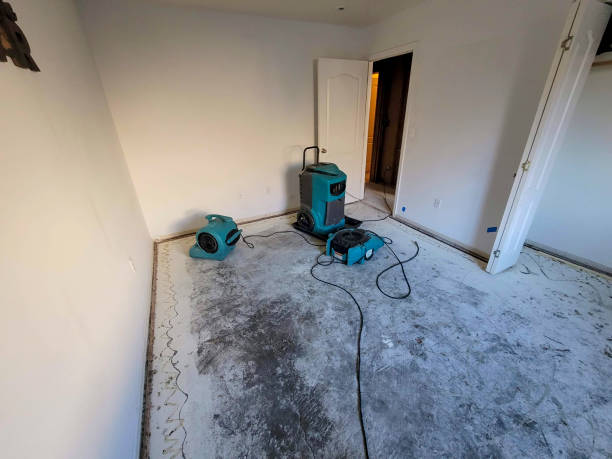 Best Water damage restoration near me  in Glenwood City, WI