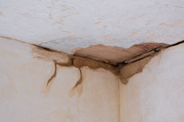 Best Commercial water damage restoration  in Glenwood City, WI