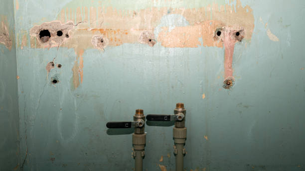 Best 24-hour water damage restoration  in Glenwood City, WI