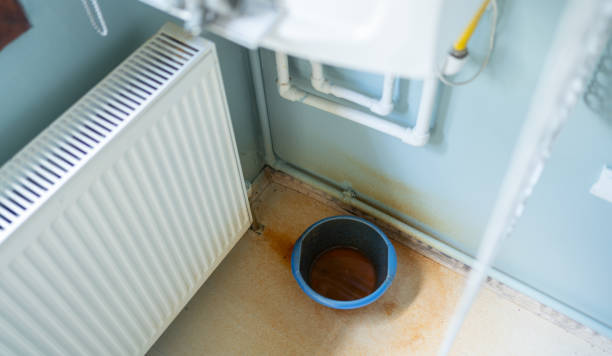 Best Water damage cleanup near me  in Glenwood City, WI