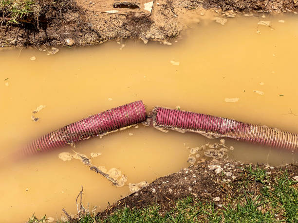 Best Water damage restoration near me  in Glenwood City, WI